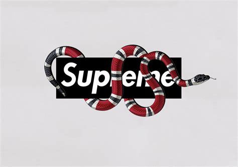 supreme gucci wallpapers